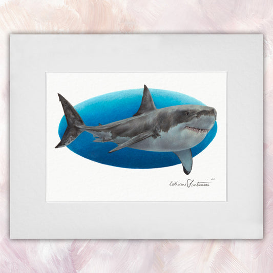 Great White Shark