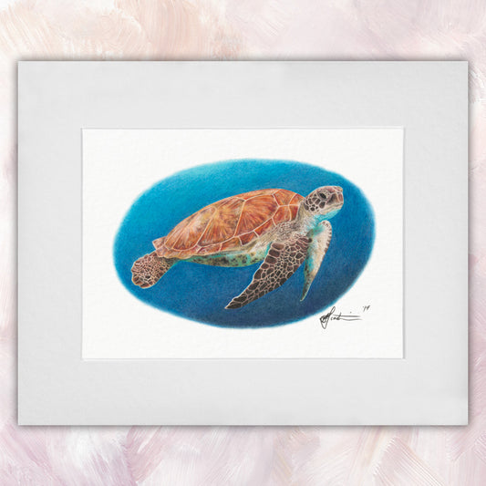Green Sea Turtle Original