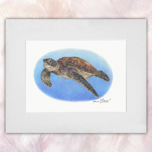 Green Sea Turtle Original