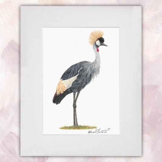 Grey Crowned Crane Original
