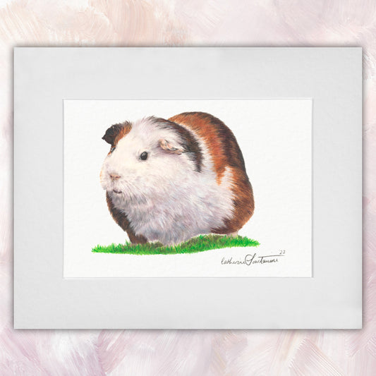 Guinea Pig Original