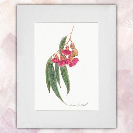 Gum Blossom