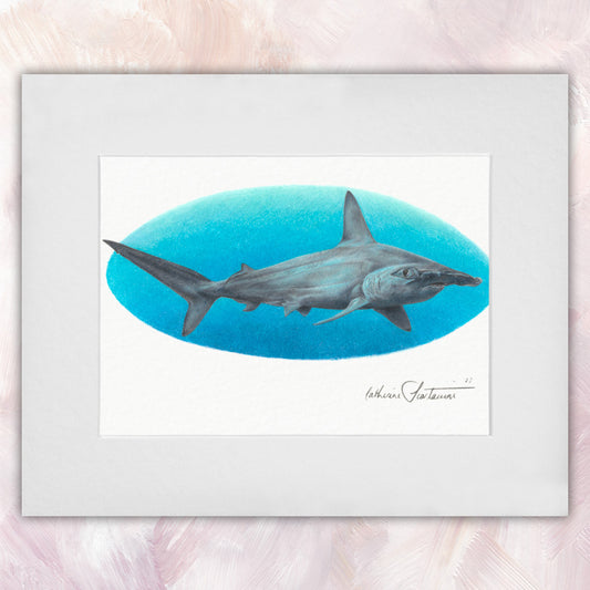 Hammerhead Shark