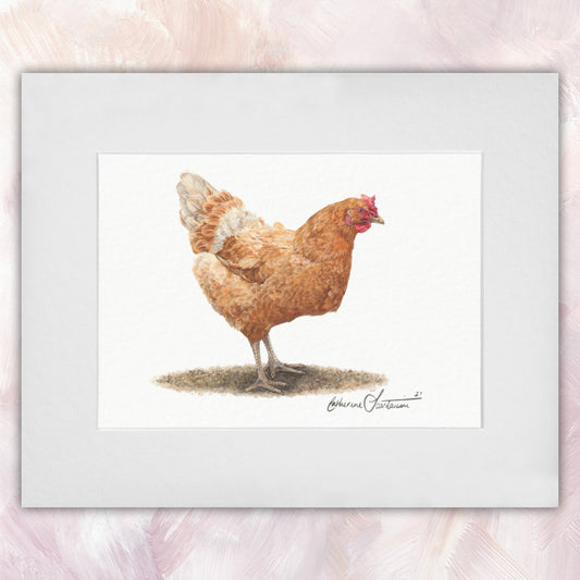Hen Original