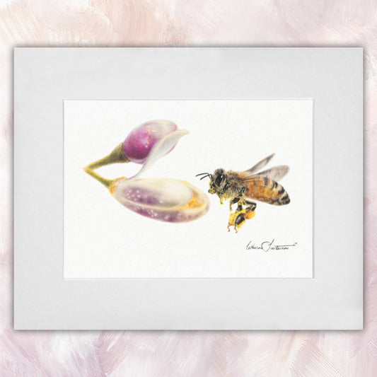 Honeybee