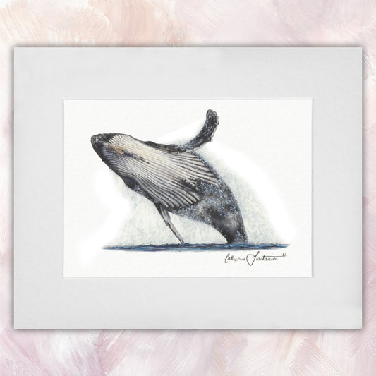 Humpback Whale Original