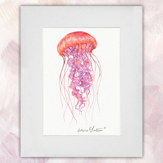 Jellyfish Original