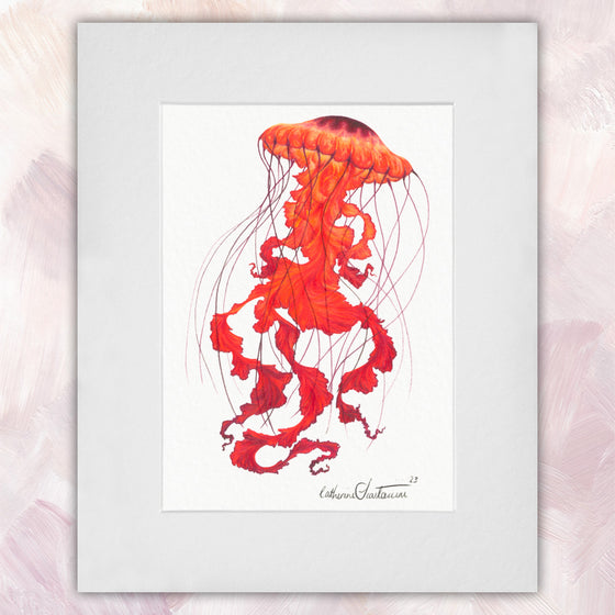 Jellyfish Red