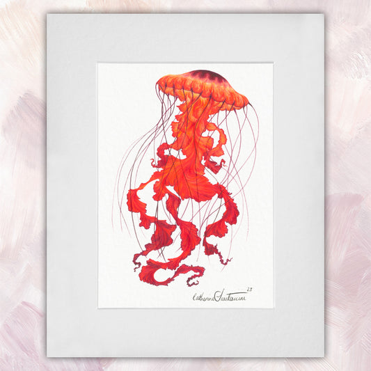 Jellyfish Red Original