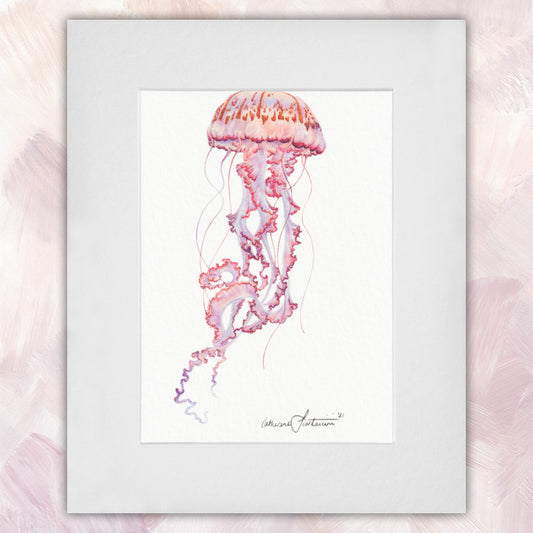 Jellyfish