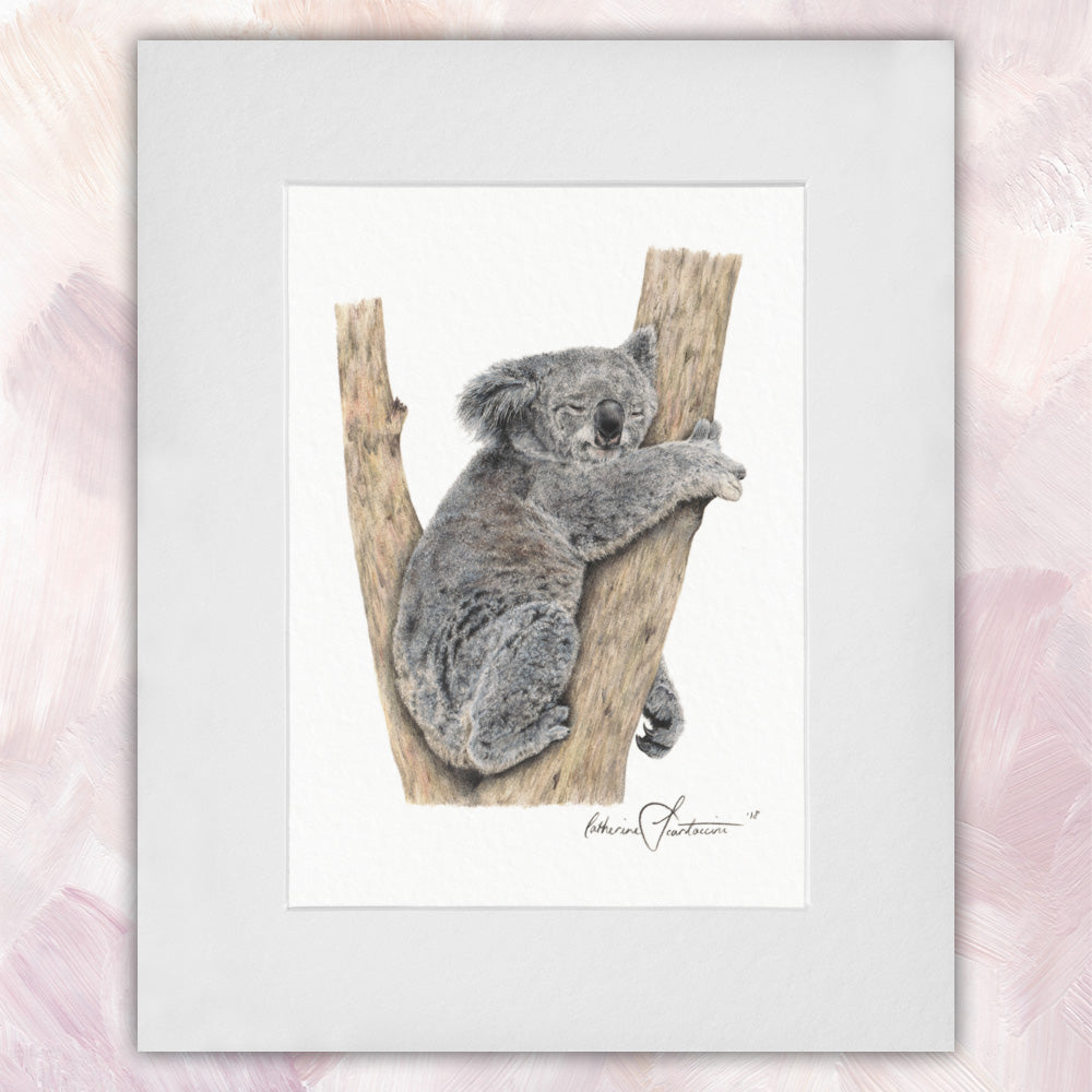 Koala