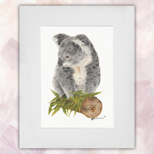 Koala Original