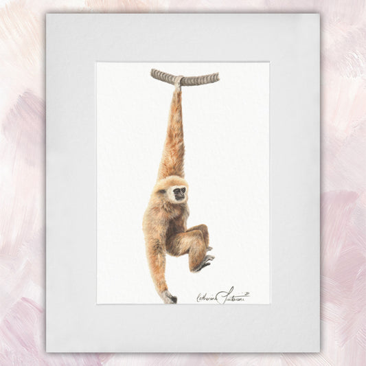 Lar Gibbon Original