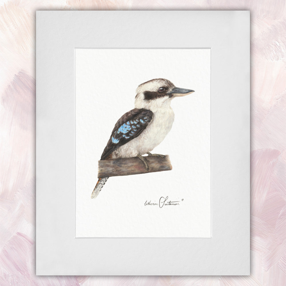 Laughing Kookaburra