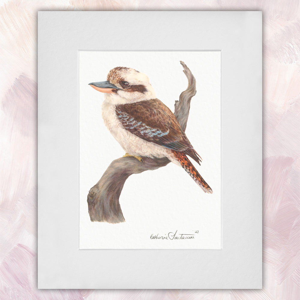 Laughing Kookaburra