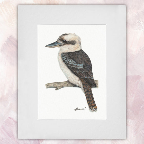 Laughing Kookaburra