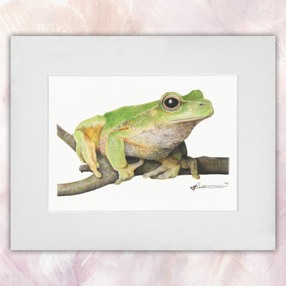 Leaf Green Tree Frog