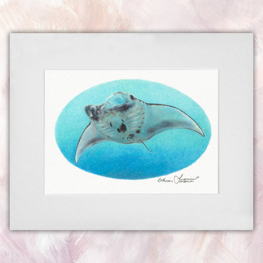 Manta Ray Original