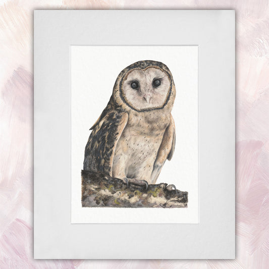 Masked Owl Original