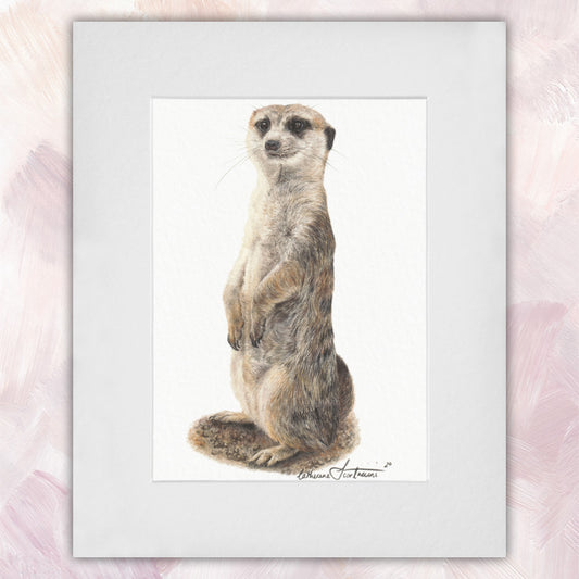 Meerkat Original