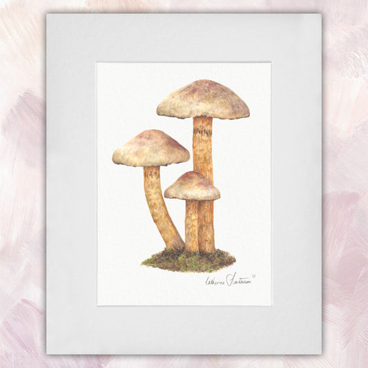 Mushroom Original