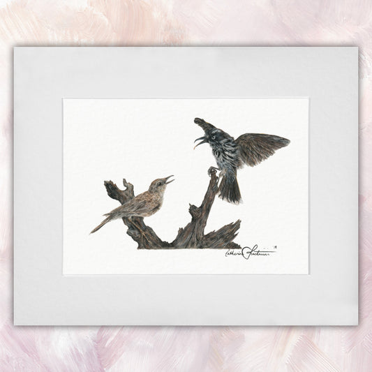 New Holland Honeyeater & Brown Songlark Original
