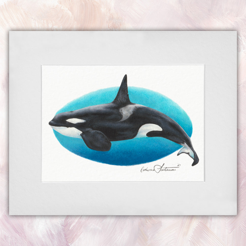 Orca