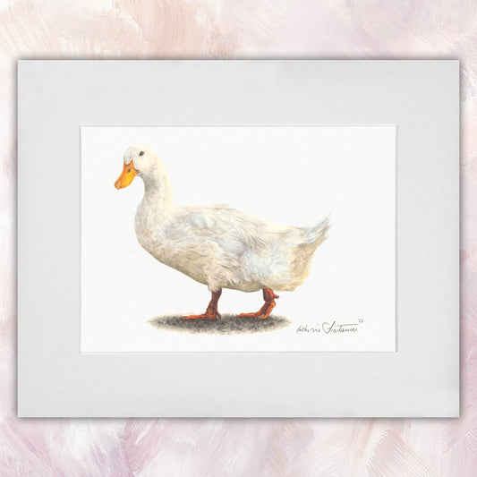 Pekin Duck Original
