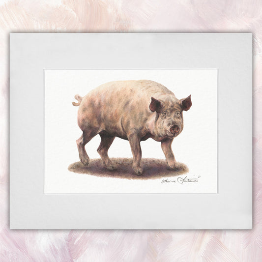 Pig Original