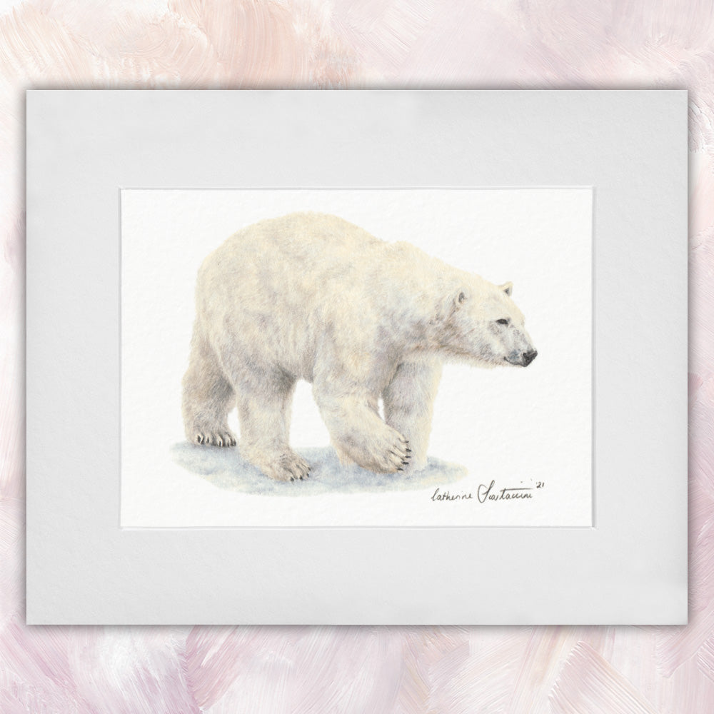 Polar Bear Original