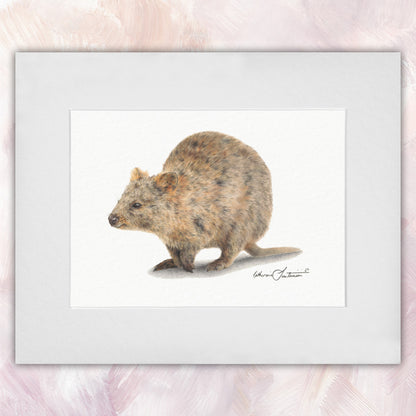 Quokka Original