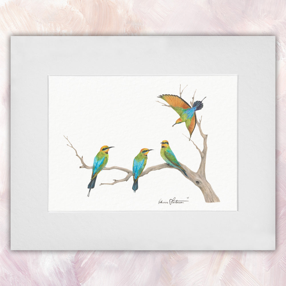 Rainbow Bee Eater Quartet