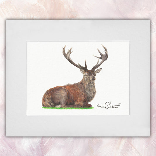 Red Deer Original