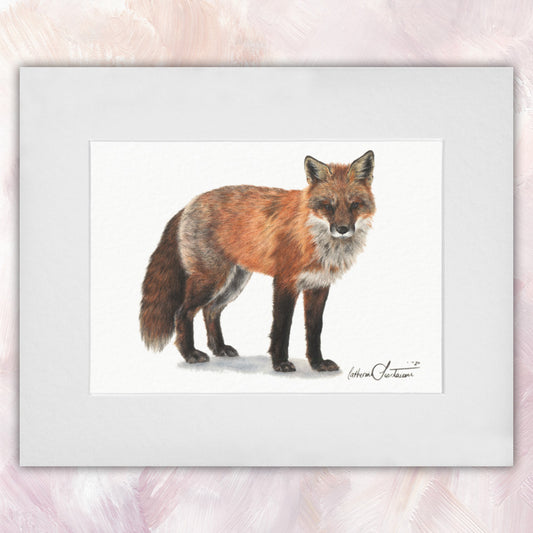 Red Fox Original