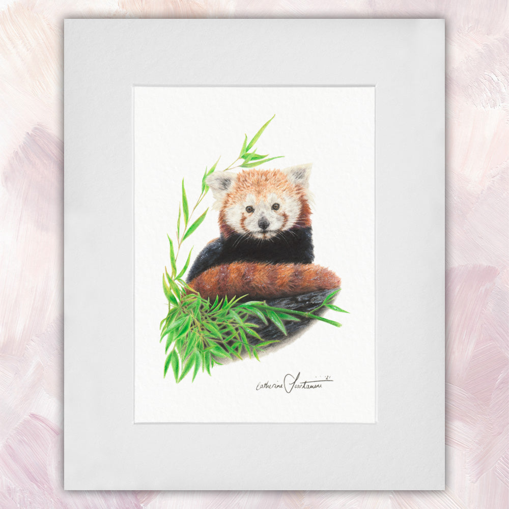 Red Panda Original