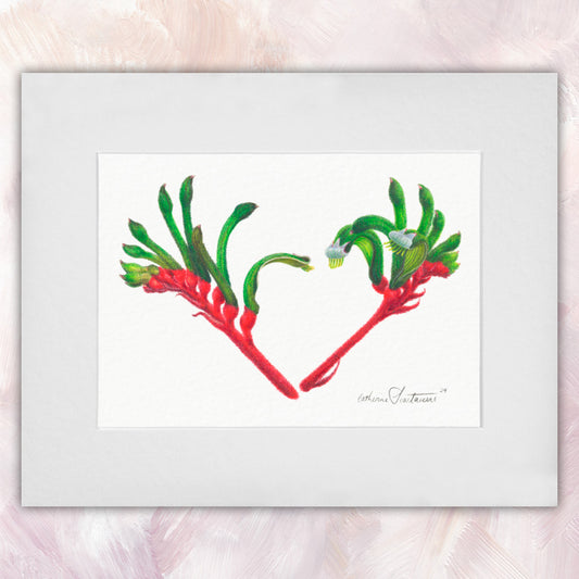 Red & Green Kangaroo Paw Original
