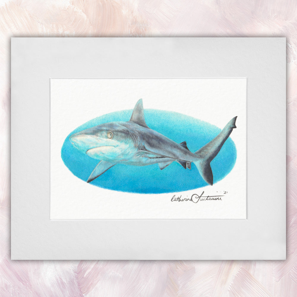 Reef Shark Original