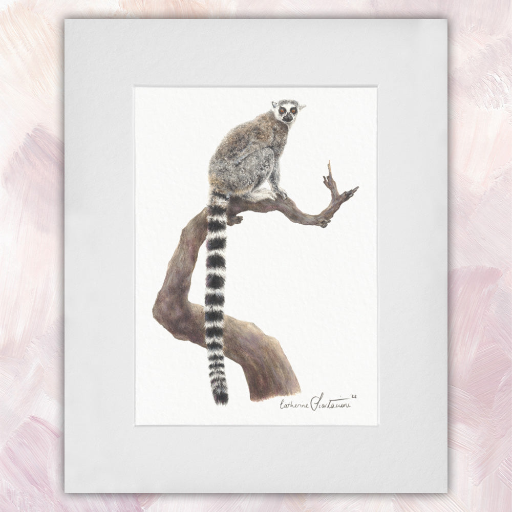 Ring-tailed Lemur Original