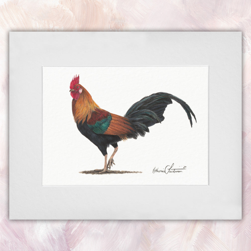 Rooster Original