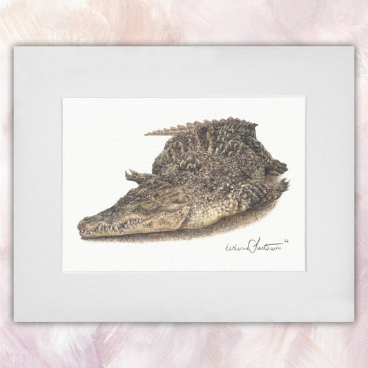 Saltwater Crocodile Original