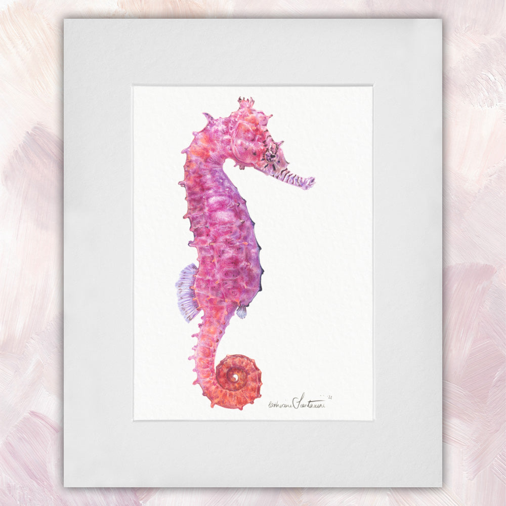 Seahorse