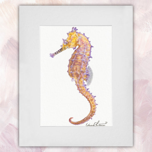 Seahorse Original