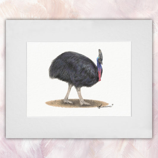 Southern Cassowary Original