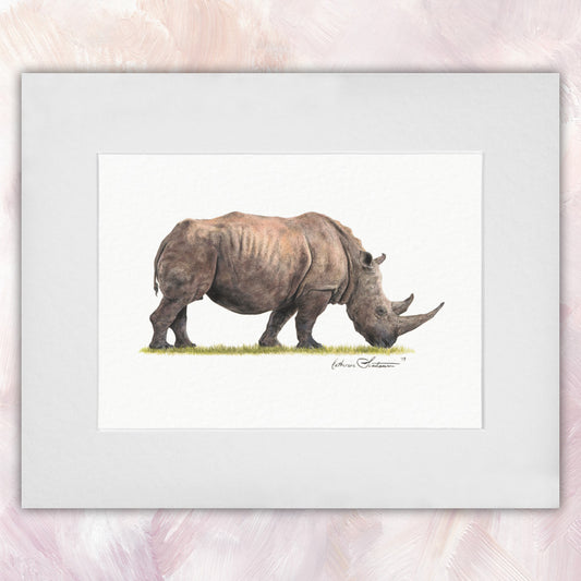 Southern White Rhinoceros Original