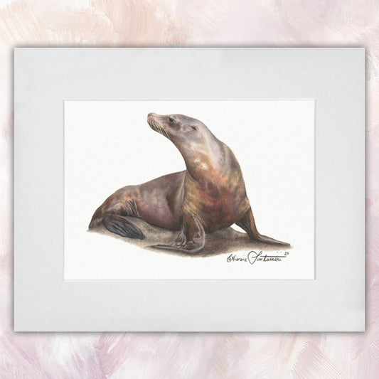 Steller Sea Lion Original