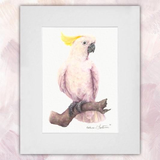 Sulphur Crested Cockatoo Original