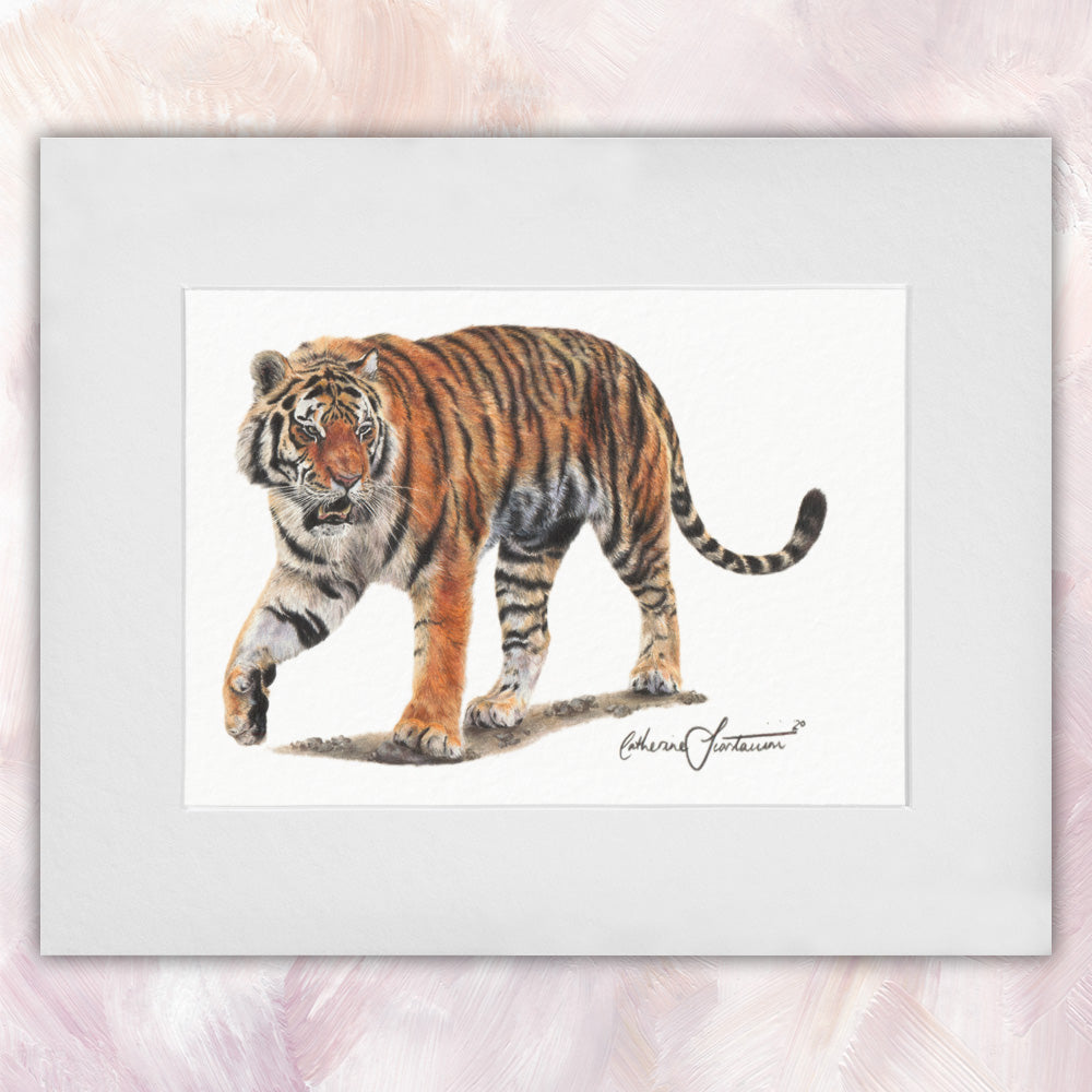 Sumatran Tiger Original