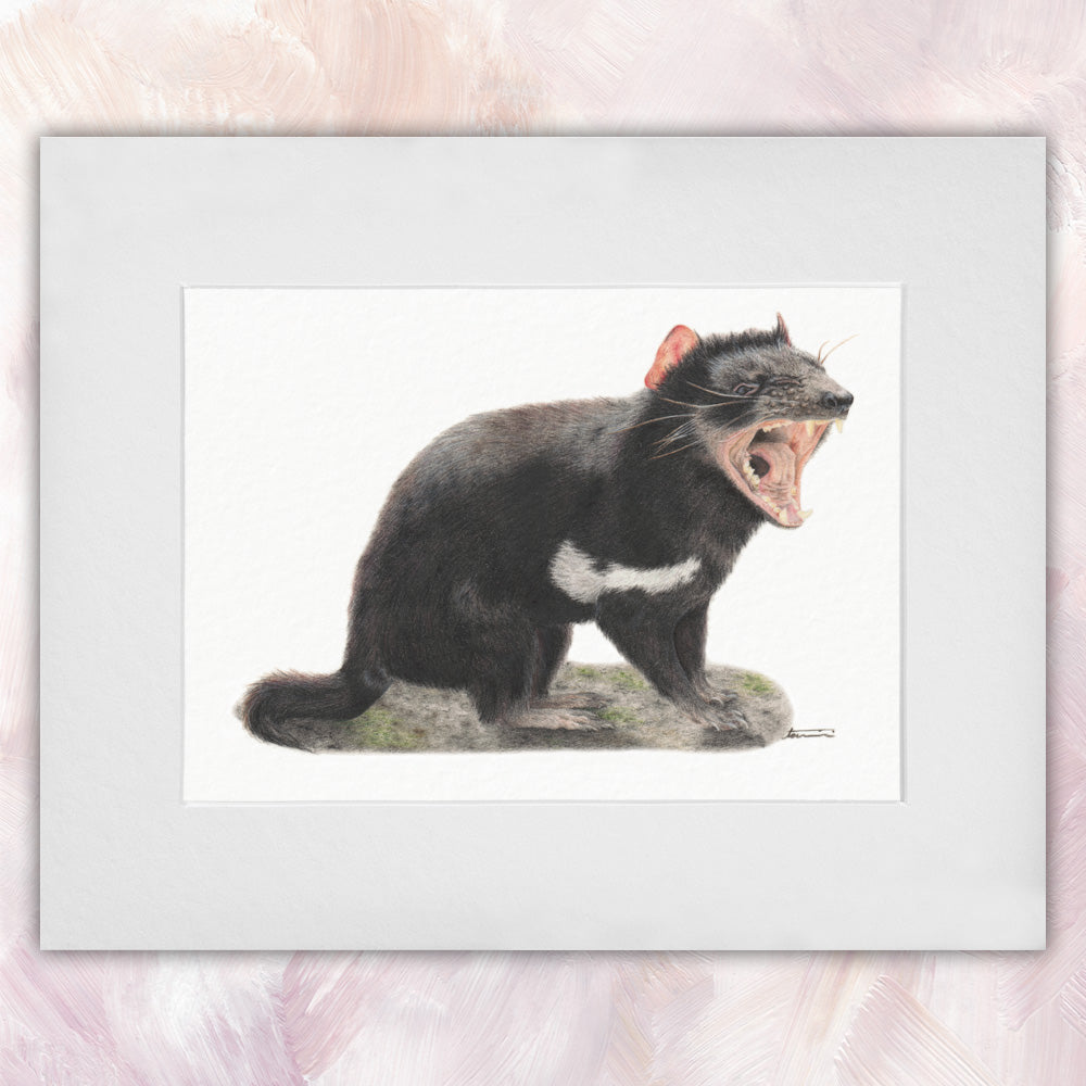 Tasmanian Devil