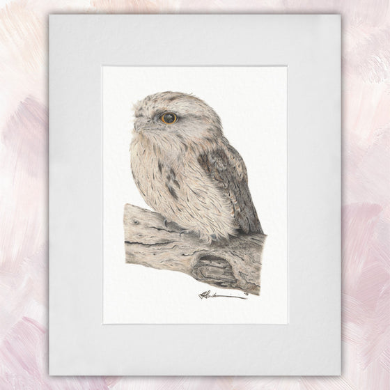 Tawny Frogmouth