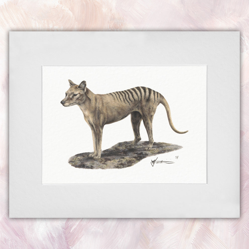 Thylacine Original